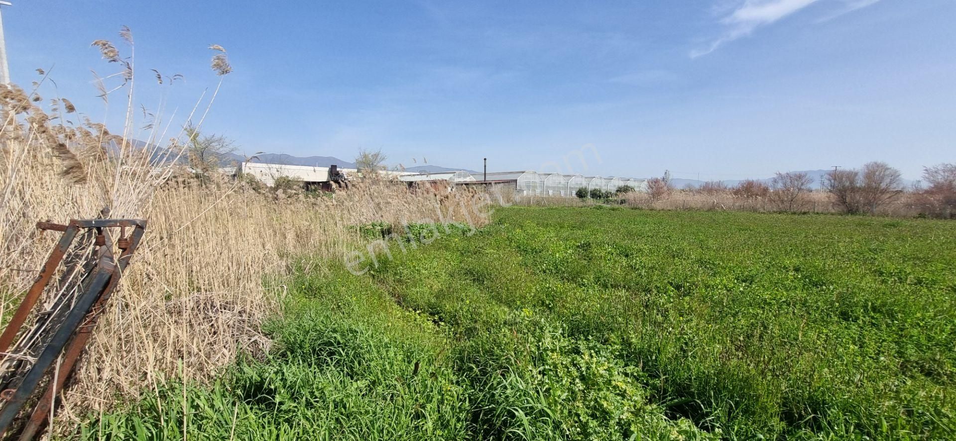 Aydın Nazilli Yöntem Emlaktan İsabeyli Mahallesinde Bamboo Avm'nin Alt Tarafında Satılık Tarla - Görsel 8