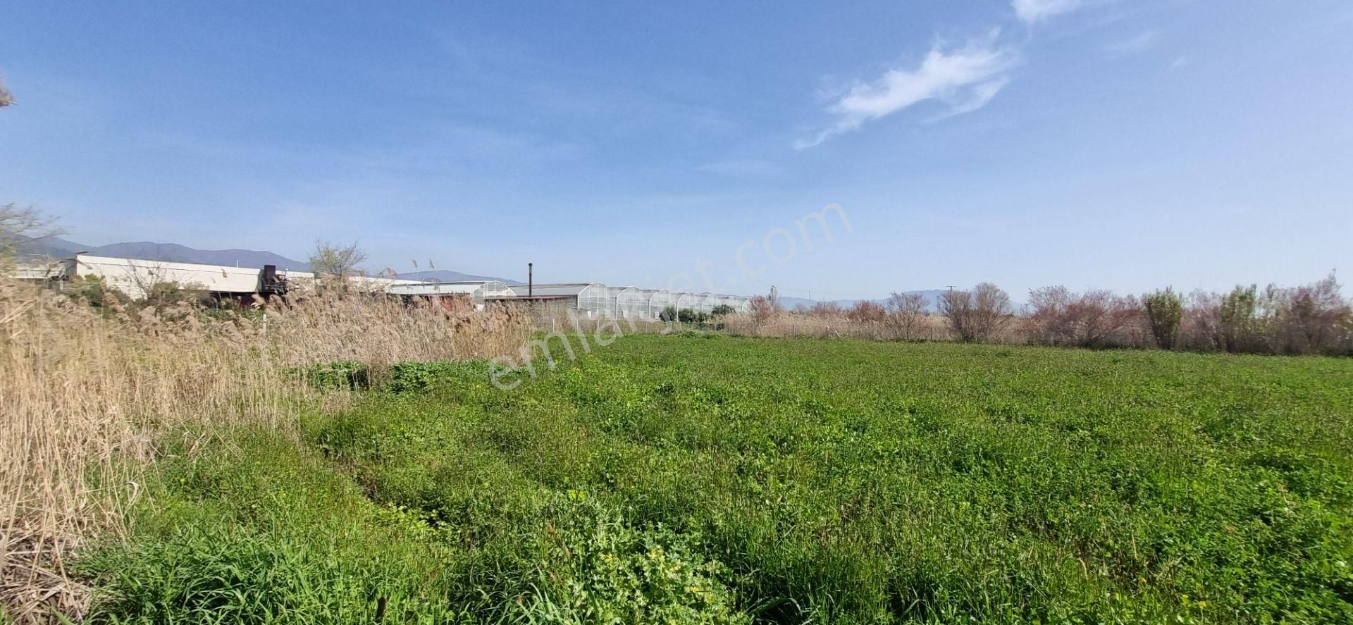 Aydın Nazilli Yöntem Emlaktan İsabeyli Mahallesinde Bamboo Avm'nin Alt Tarafında Satılık Tarla - Görsel 9