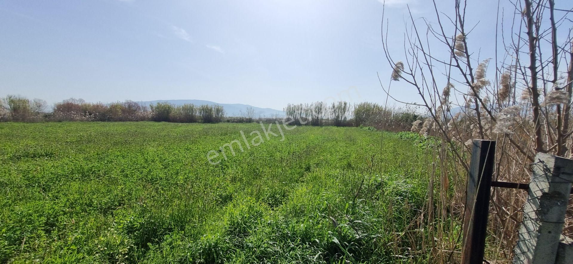 Aydın Nazilli Yöntem Emlaktan İsabeyli Mahallesinde Bamboo Avm'nin Alt Tarafında Satılık Tarla - Görsel 7