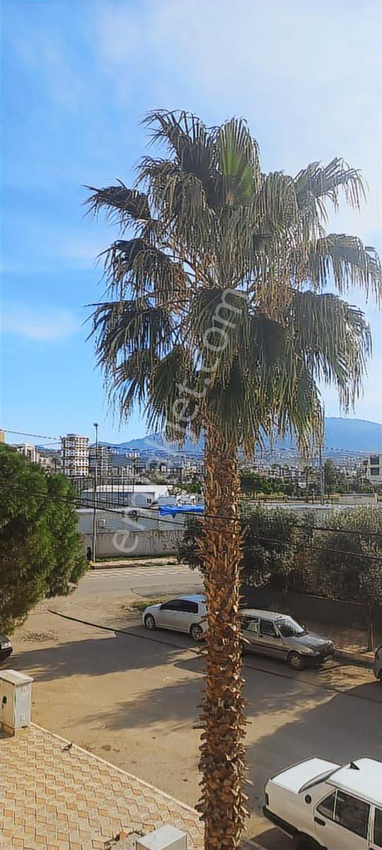 İskenderun Meydan Mah.yapı Kullanımlı Hasarsız 1+1 Satılık Daire - Görsel 24