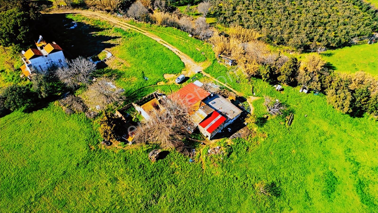 Foça Yenibağarası Mah. Satılık 18 Dönüm Tarla - Görsel 18