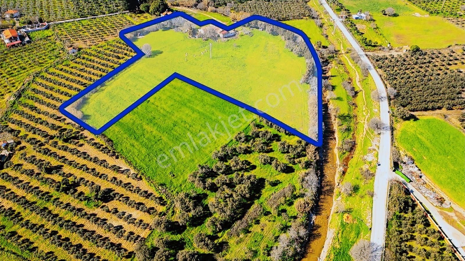 Foça Yenibağarası Mah. Satılık 18 Dönüm Tarla - Görsel 14