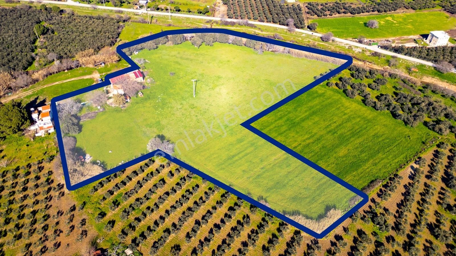 Foça Yenibağarası Mah. Satılık 18 Dönüm Tarla - Görsel 29