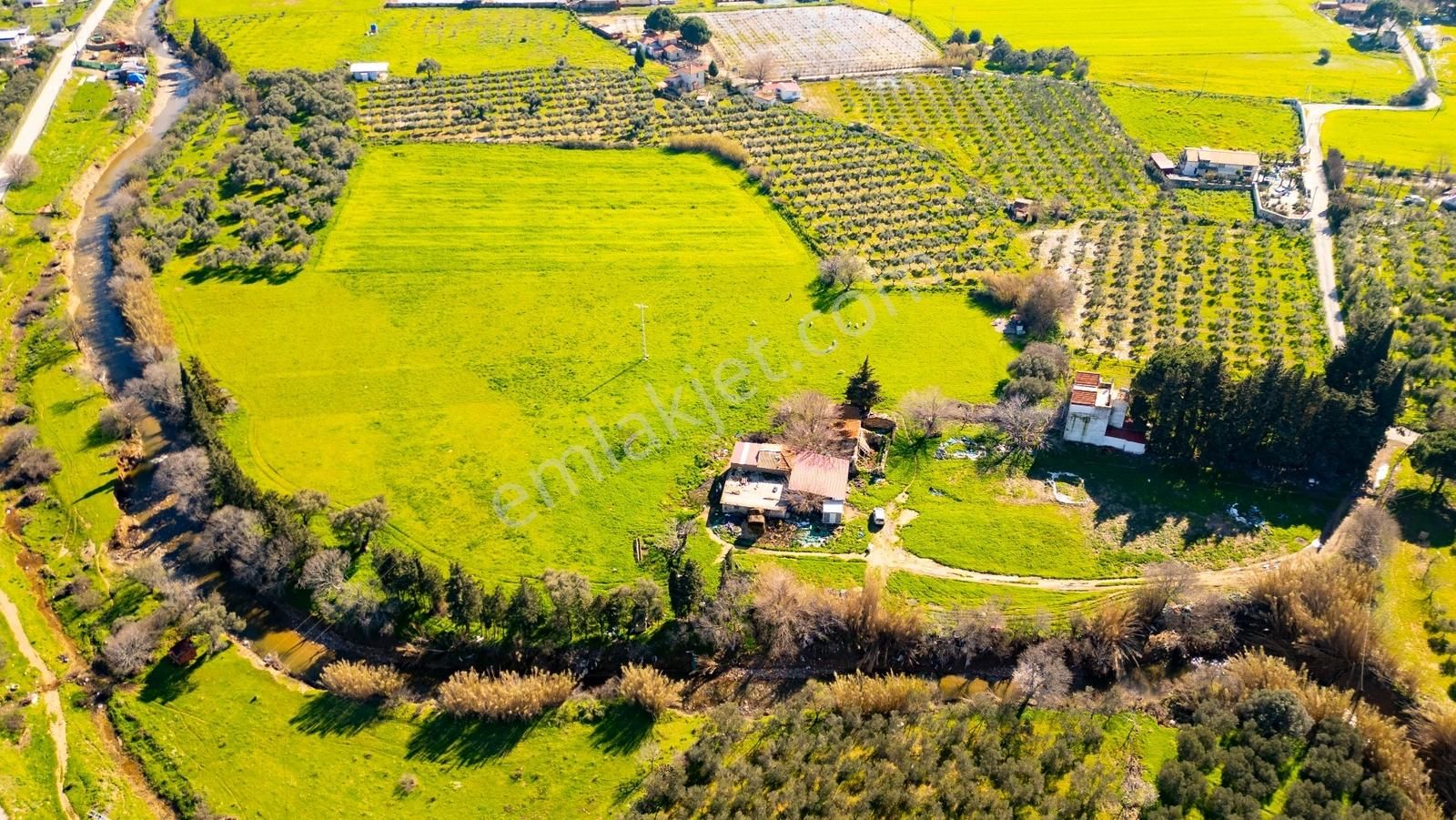 Foça Yenibağarası Mah. Satılık 18 Dönüm Tarla - Görsel 31