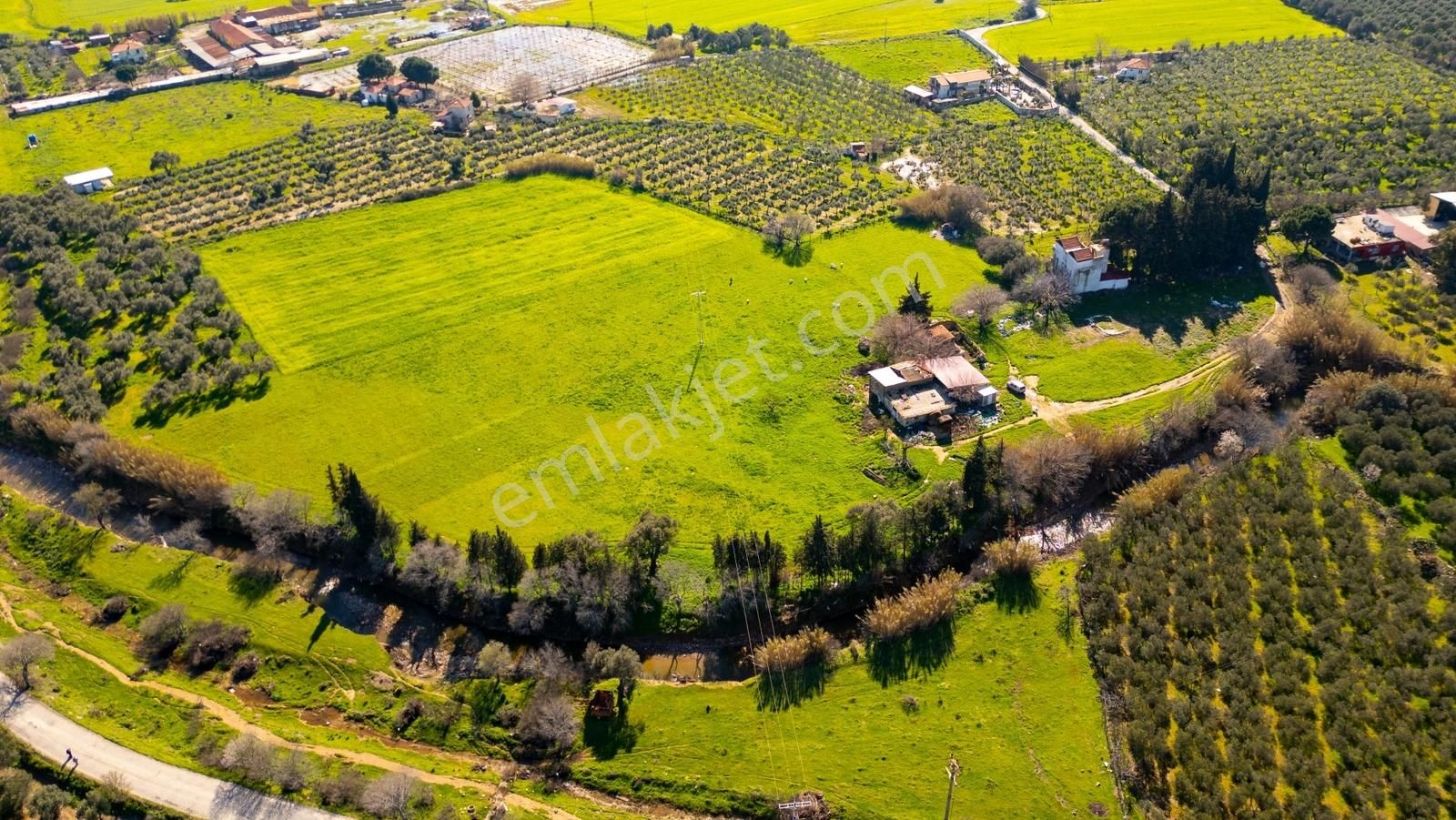 Foça Yenibağarası Mah. Satılık 18 Dönüm Tarla - Görsel 23