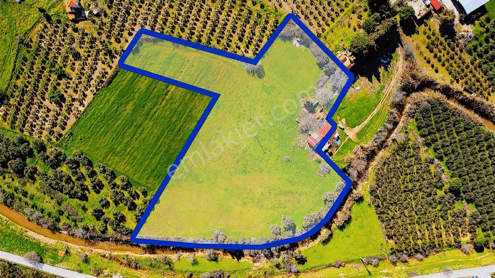 Foça Yenibağarası Mah. Satılık 18 Dönüm Tarla - Görsel 20