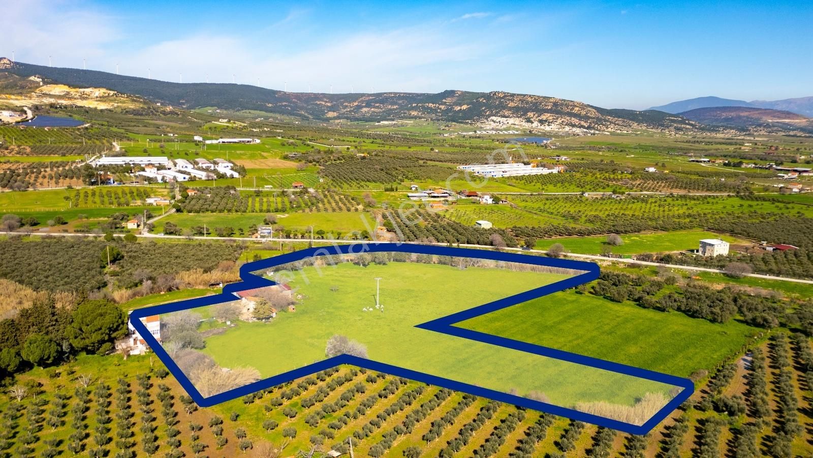 Foça Yenibağarası Mah. Satılık 18 Dönüm Tarla - Görsel 10