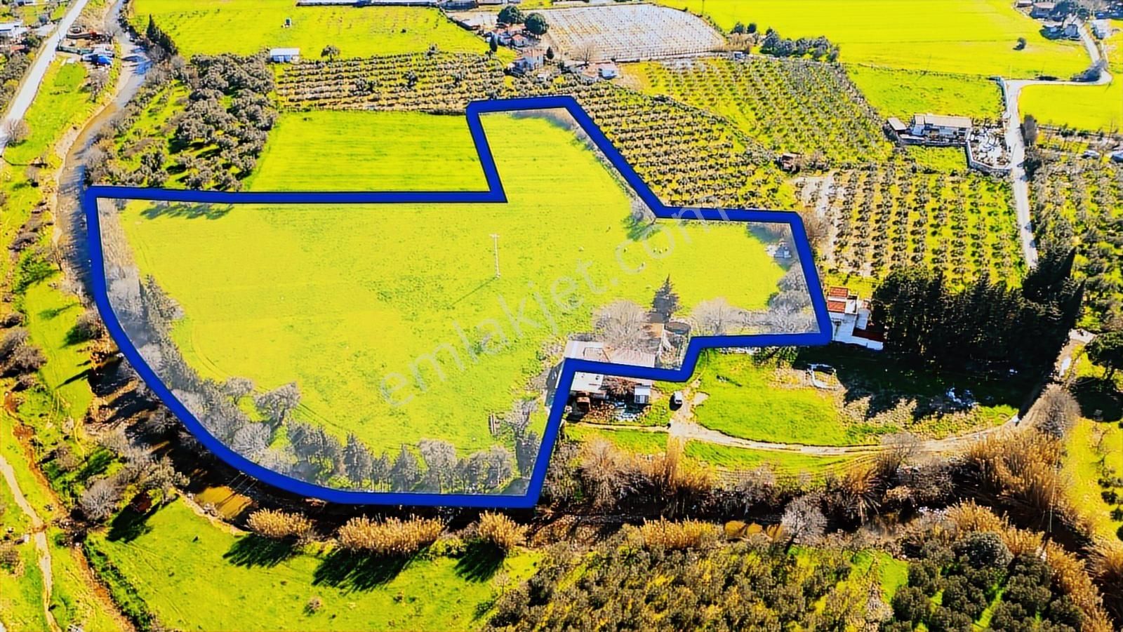 Foça Yenibağarası Mah. Satılık 18 Dönüm Tarla - Görsel 8