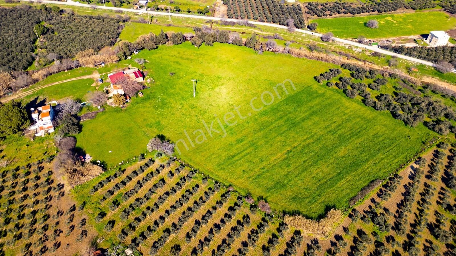 Foça Yenibağarası Mah. Satılık 18 Dönüm Tarla - Görsel 27