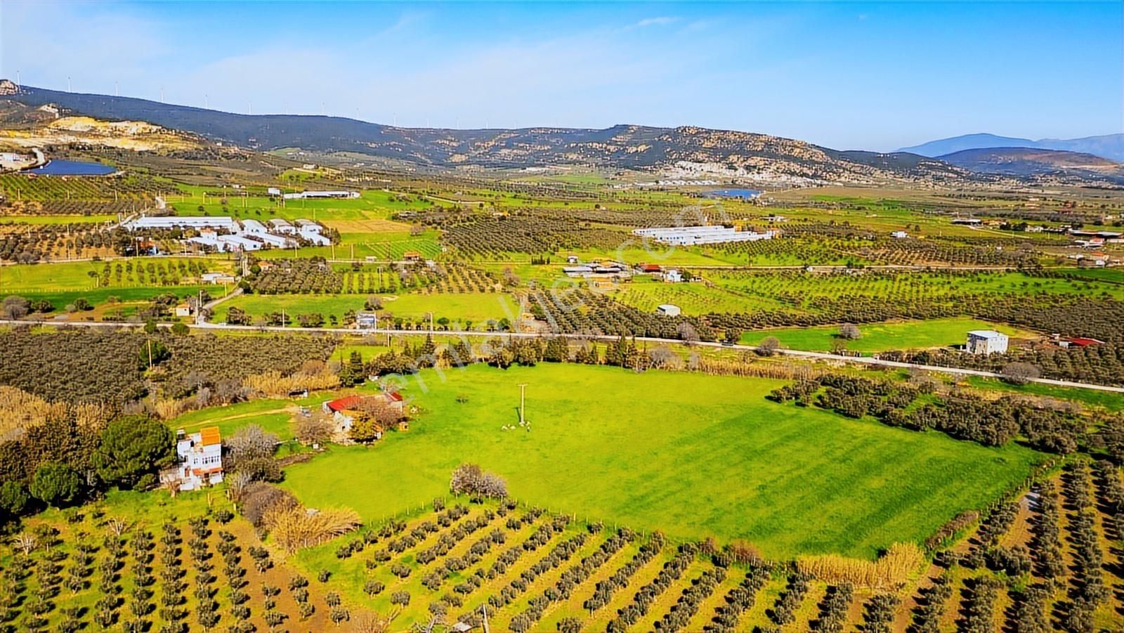 Foça Yenibağarası Mah. Satılık 18 Dönüm Tarla - Görsel 11