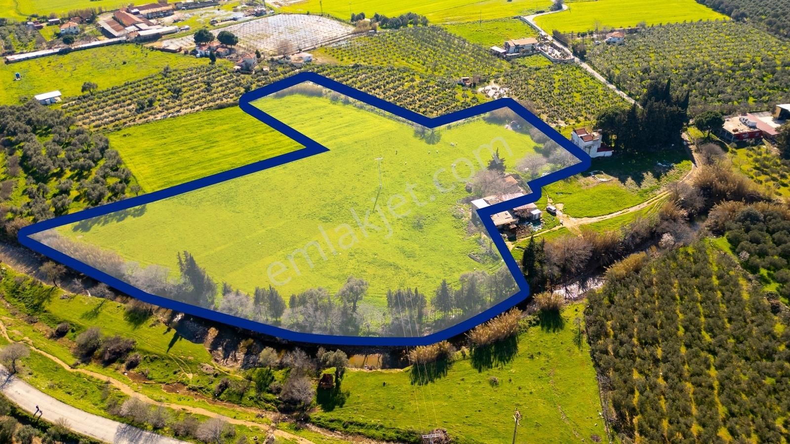 Foça Yenibağarası Mah. Satılık 18 Dönüm Tarla - Görsel 16