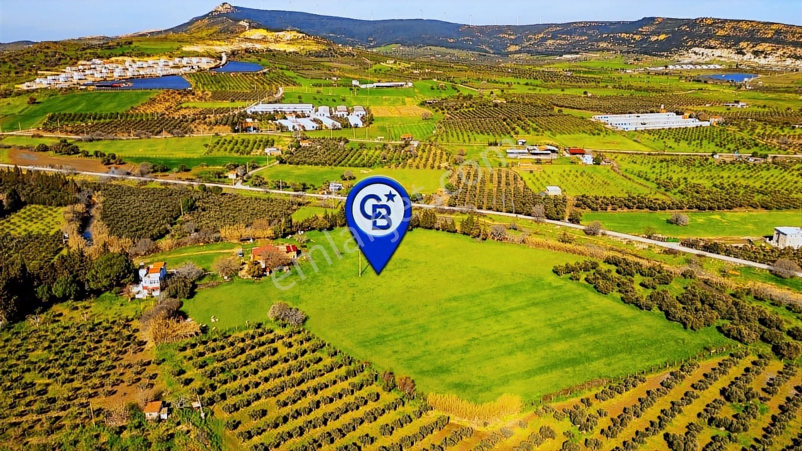 Foça Yenibağarası Mah. Satılık 18 Dönüm Tarla - Görsel 26