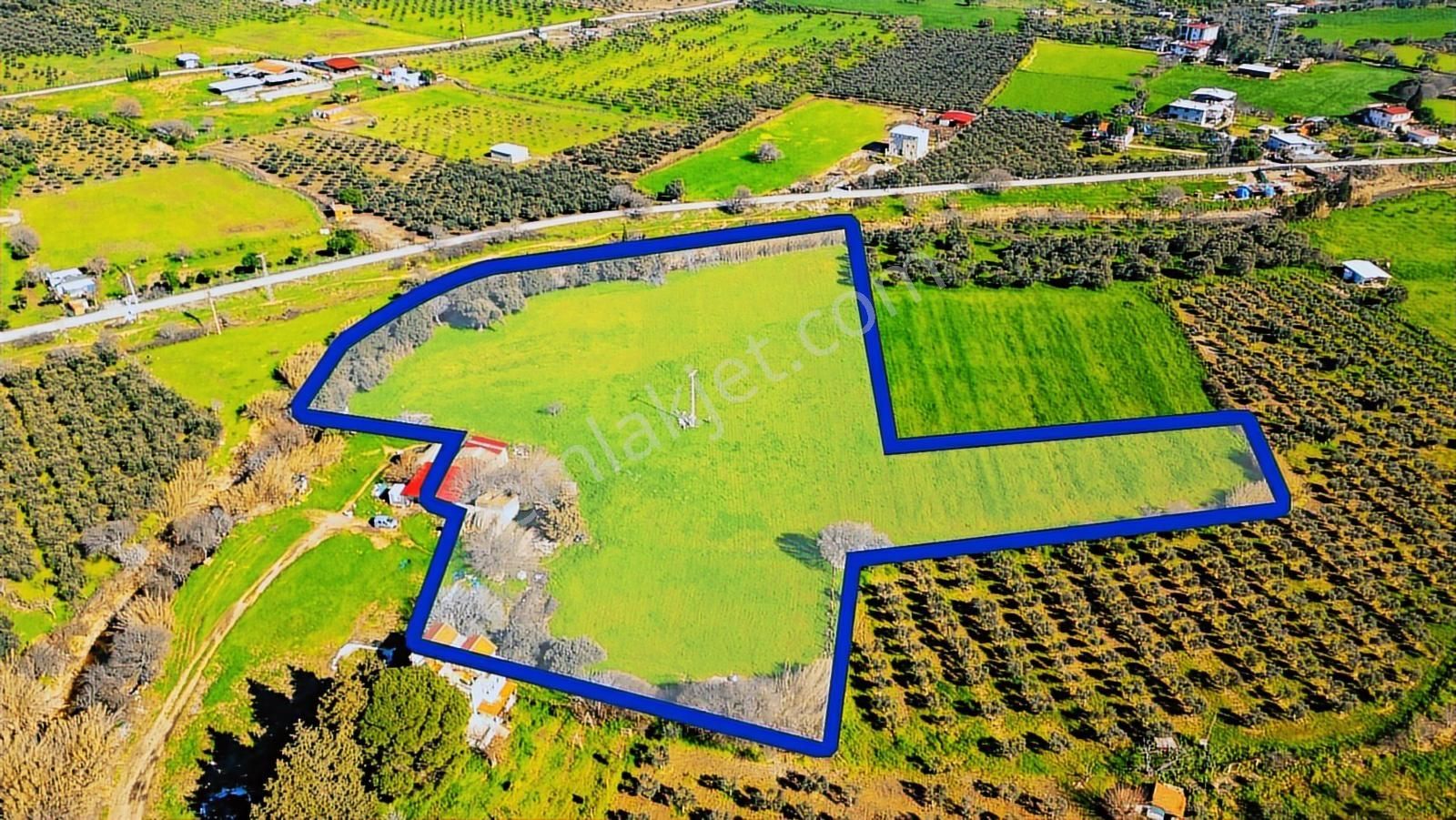 Foça Yenibağarası Mah. Satılık 18 Dönüm Tarla - Görsel 4