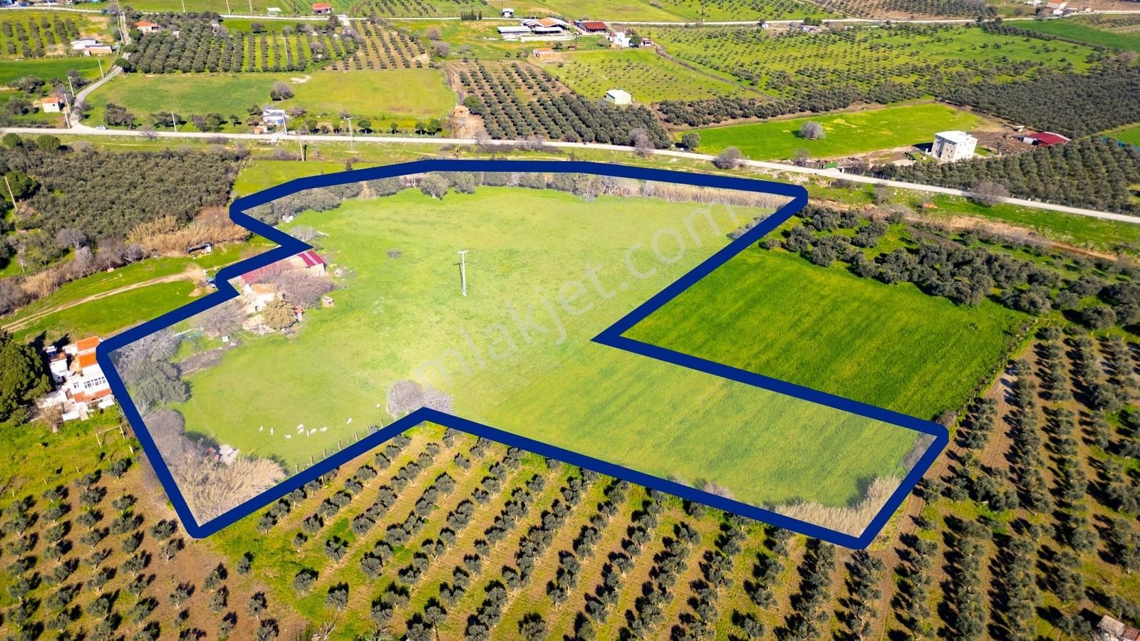 Foça Yenibağarası Mah. Satılık 18 Dönüm Tarla - Görsel 33