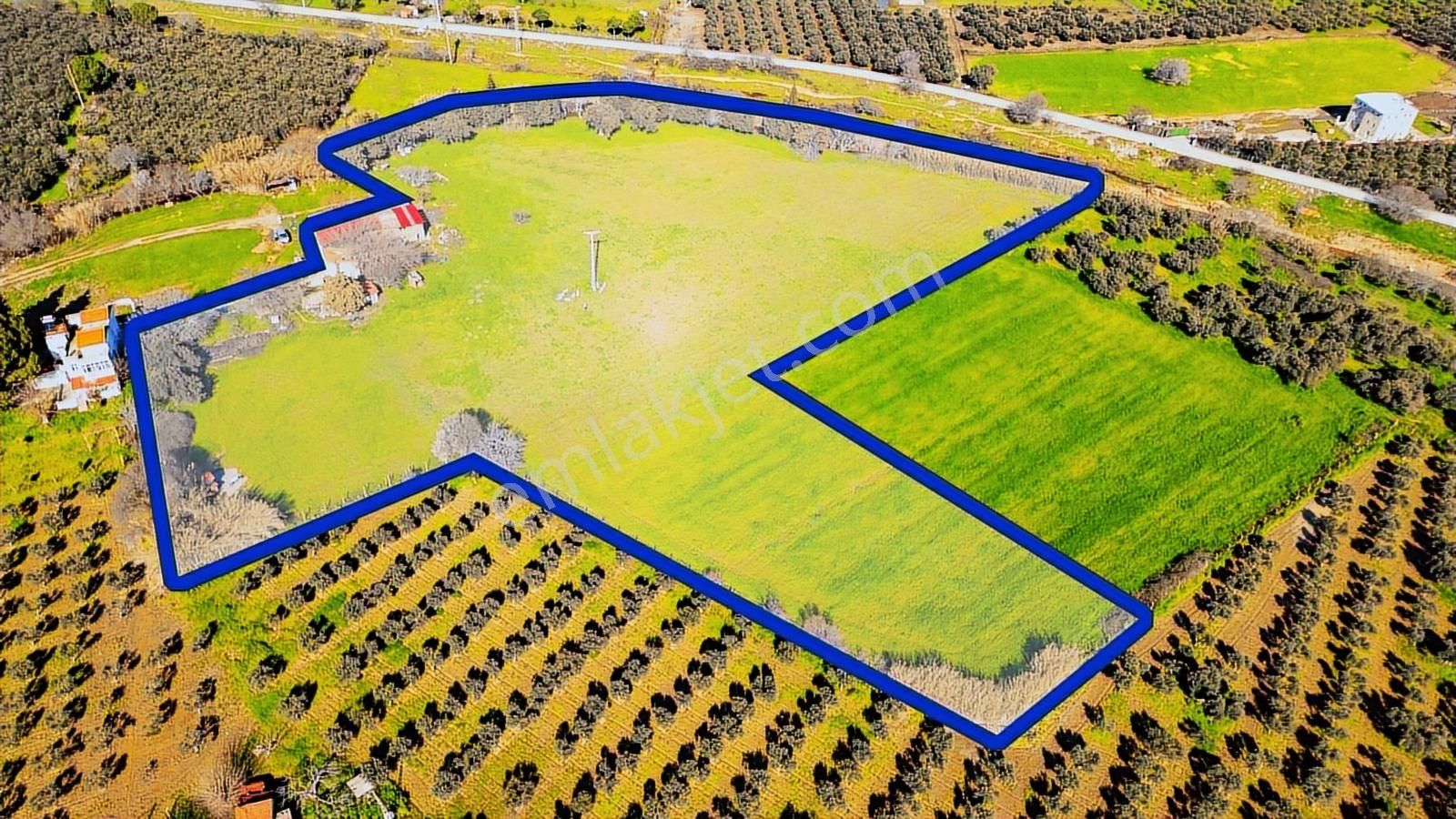 Foça Yenibağarası Mah. Satılık 18 Dönüm Tarla - Görsel 13