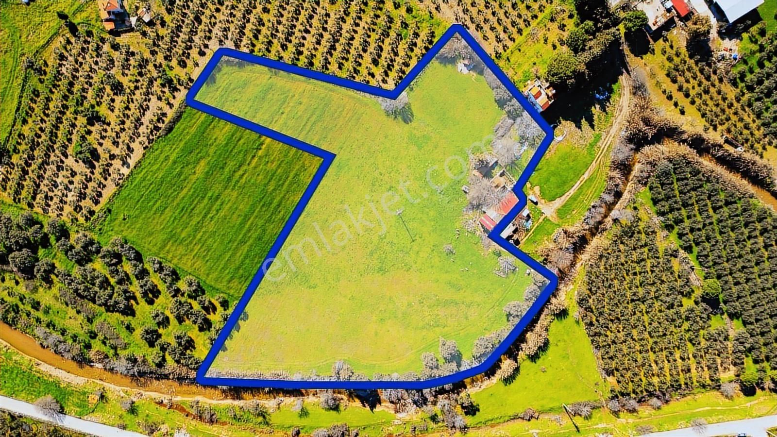 Foça Yenibağarası Mah. Satılık 18 Dönüm Tarla - Görsel 19