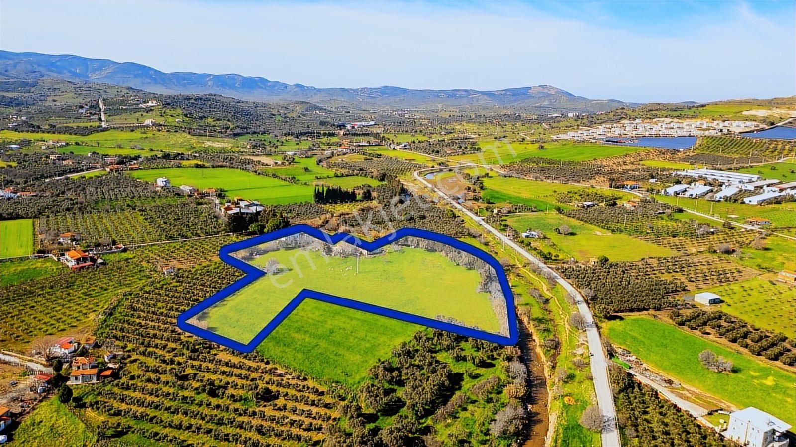 Foça Yenibağarası Mah. Satılık 18 Dönüm Tarla - Görsel 5