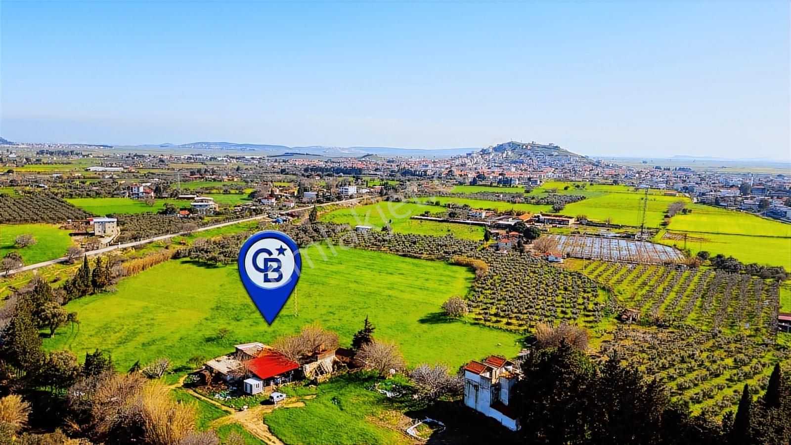 Foça Yenibağarası Mah. Satılık 18 Dönüm Tarla - Görsel 6