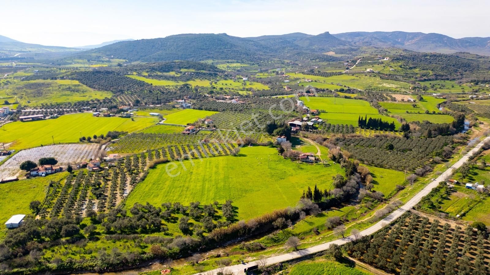 Foça Yenibağarası Mah. Satılık 18 Dönüm Tarla - Görsel 15