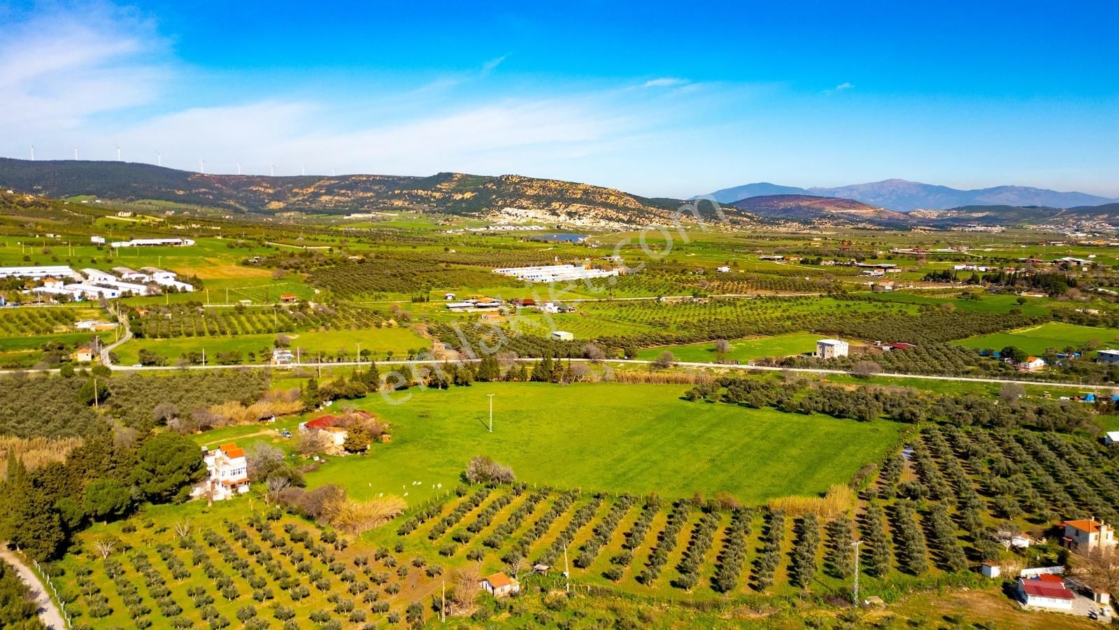 Foça Yenibağarası Mah. Satılık 18 Dönüm Tarla - Görsel 25