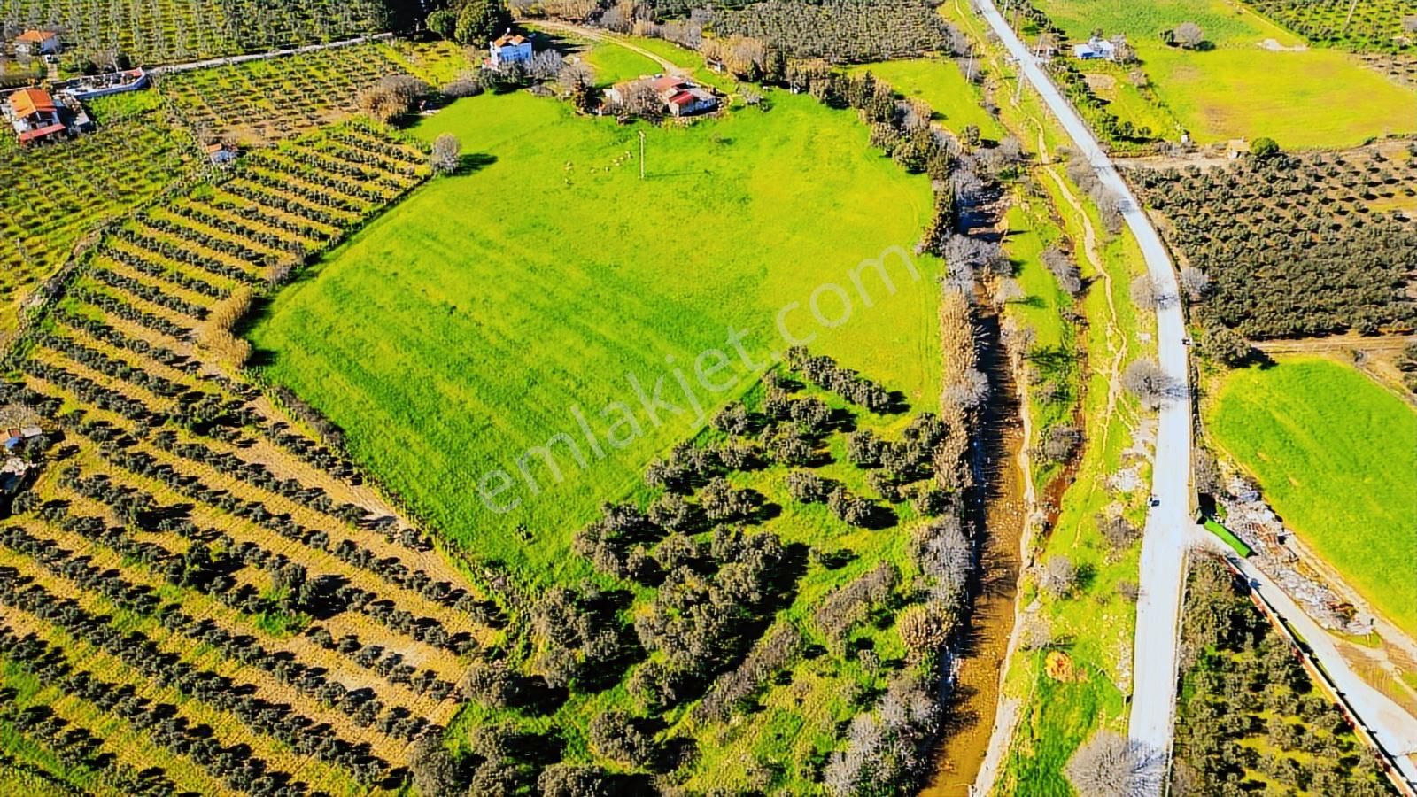Foça Yenibağarası Mah. Satılık 18 Dönüm Tarla - Görsel 21