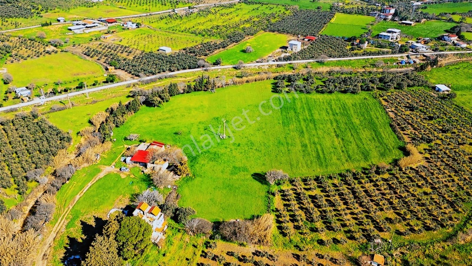 Foça Yenibağarası Mah. Satılık 18 Dönüm Tarla - Görsel 12