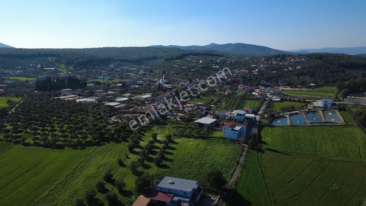 Milas Yakaköy De 14 000 M² Yola Sıfır İmar Sınırında Tarla - Görsel 15