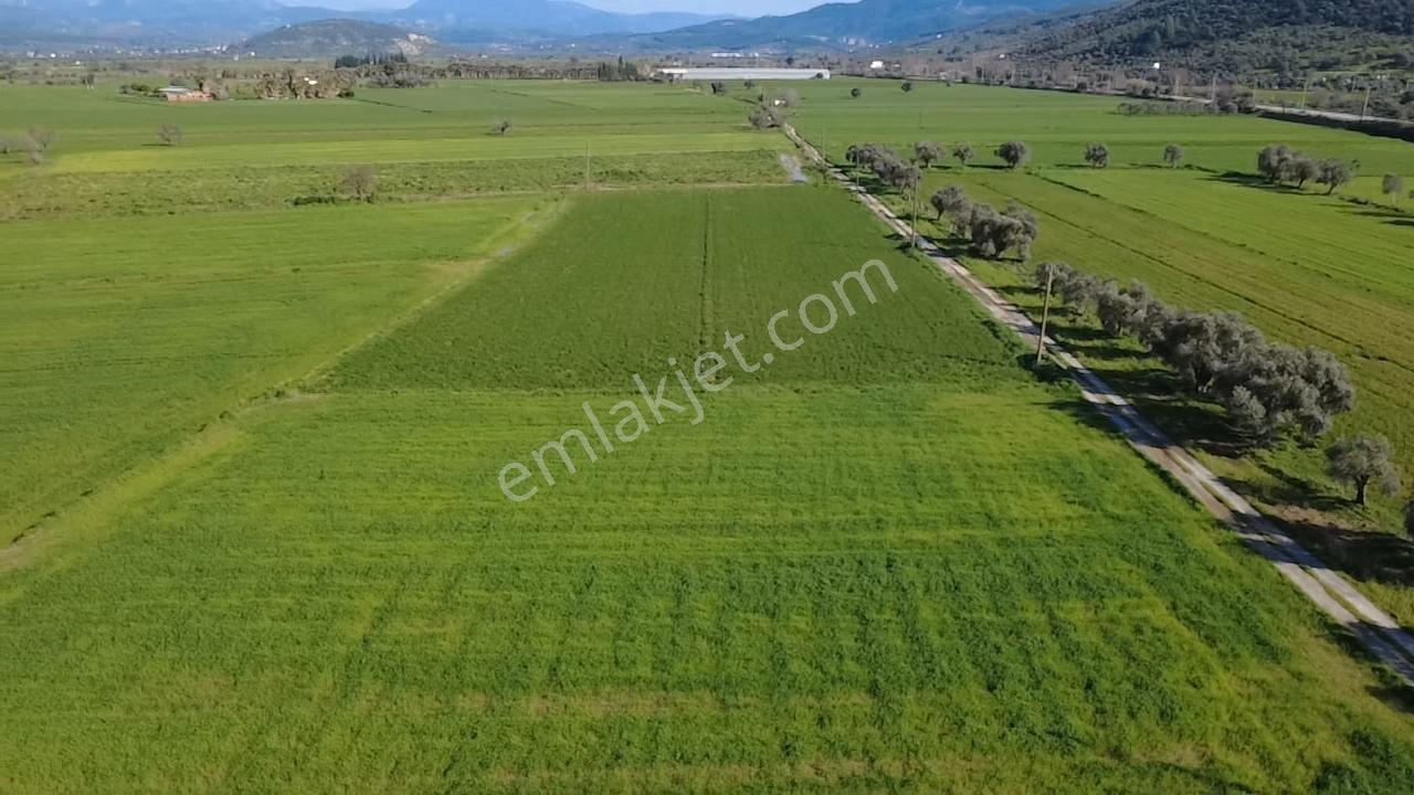 Milas Yakaköy De 14 000 M² Yola Sıfır İmar Sınırında Tarla - Görsel 29