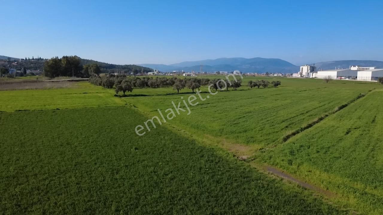 Milas Yakaköy De 14 000 M² Yola Sıfır İmar Sınırında Tarla - Görsel 22