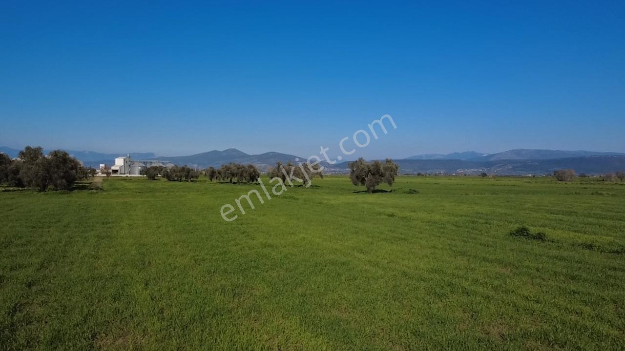 Milas Yakaköy De 14 000 M² Yola Sıfır İmar Sınırında Tarla - Görsel 20