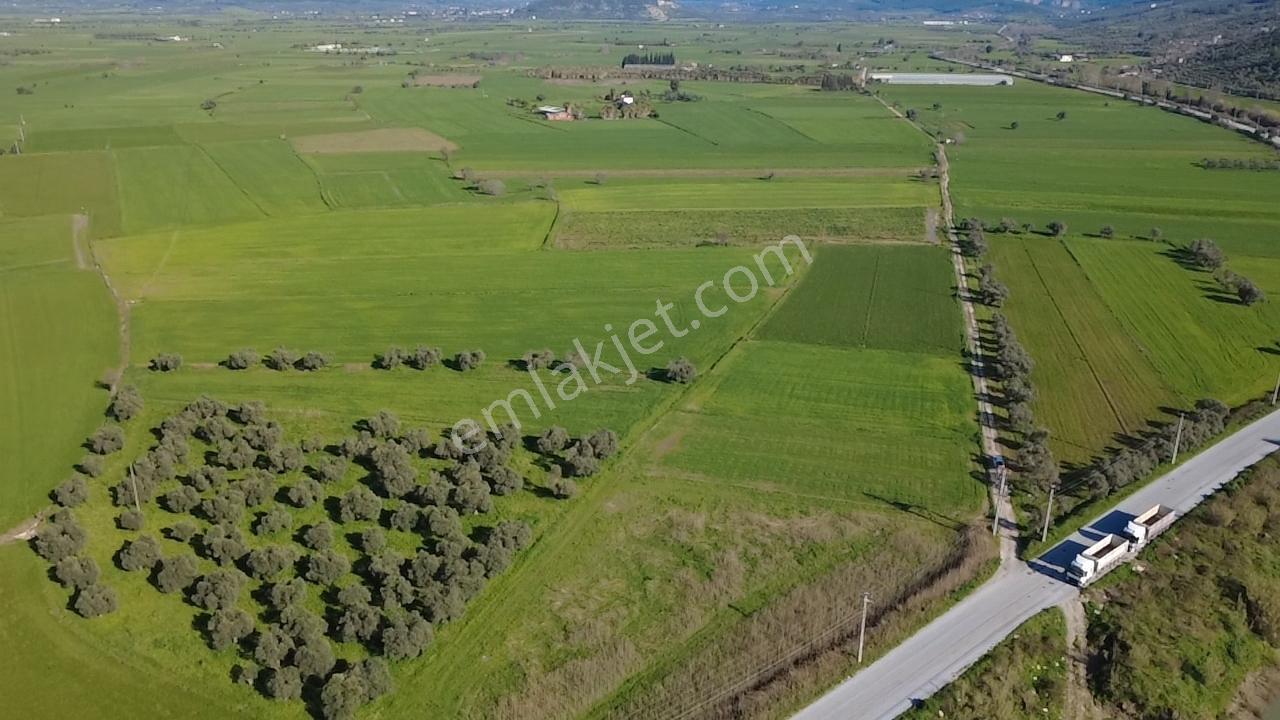 Milas Yakaköy De 14 000 M² Yola Sıfır İmar Sınırında Tarla - Görsel 24