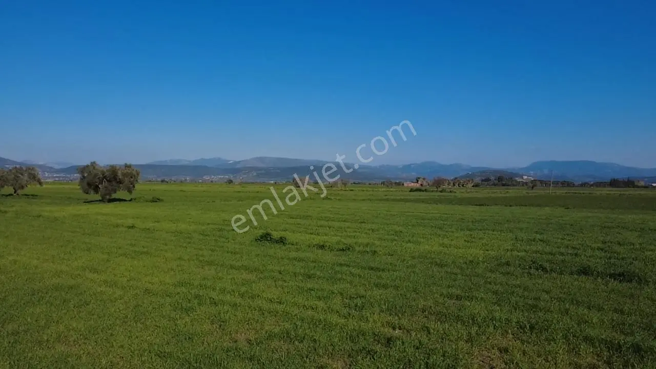 Milas Yakaköy De 14 000 M² Yola Sıfır İmar Sınırında Tarla - Görsel 33