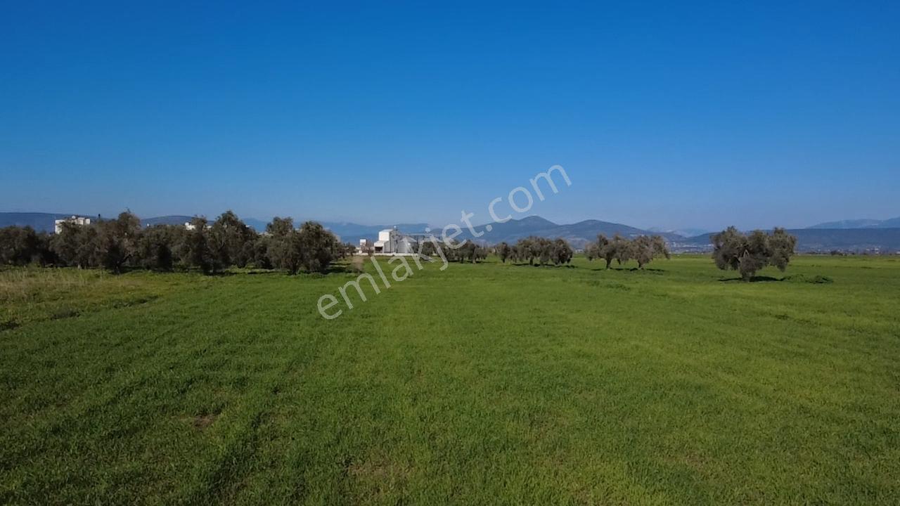 Milas Yakaköy De 14 000 M² Yola Sıfır İmar Sınırında Tarla - Görsel 19