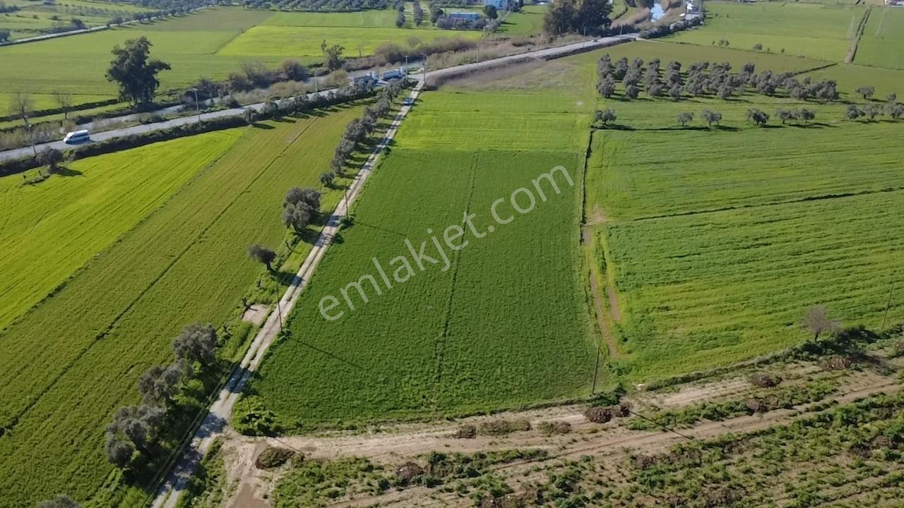 Milas Yakaköy De 14 000 M² Yola Sıfır İmar Sınırında Tarla - Görsel 25