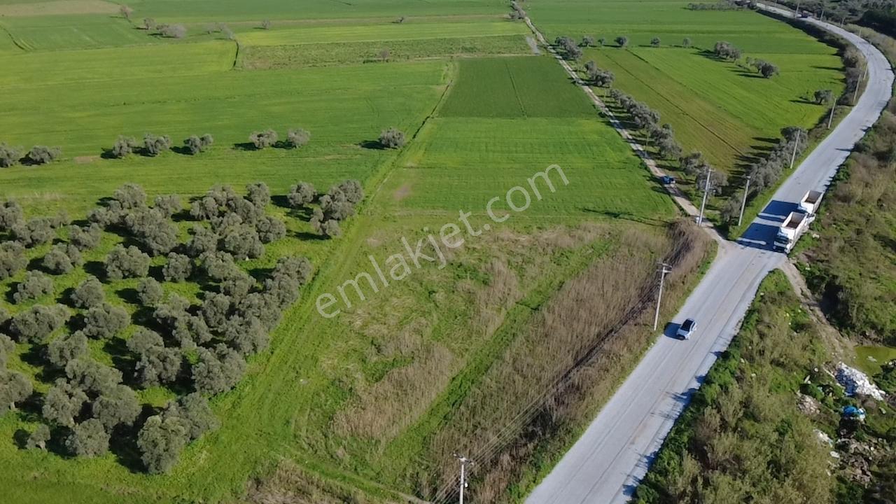 Milas Yakaköy De 14 000 M² Yola Sıfır İmar Sınırında Tarla - Görsel 2