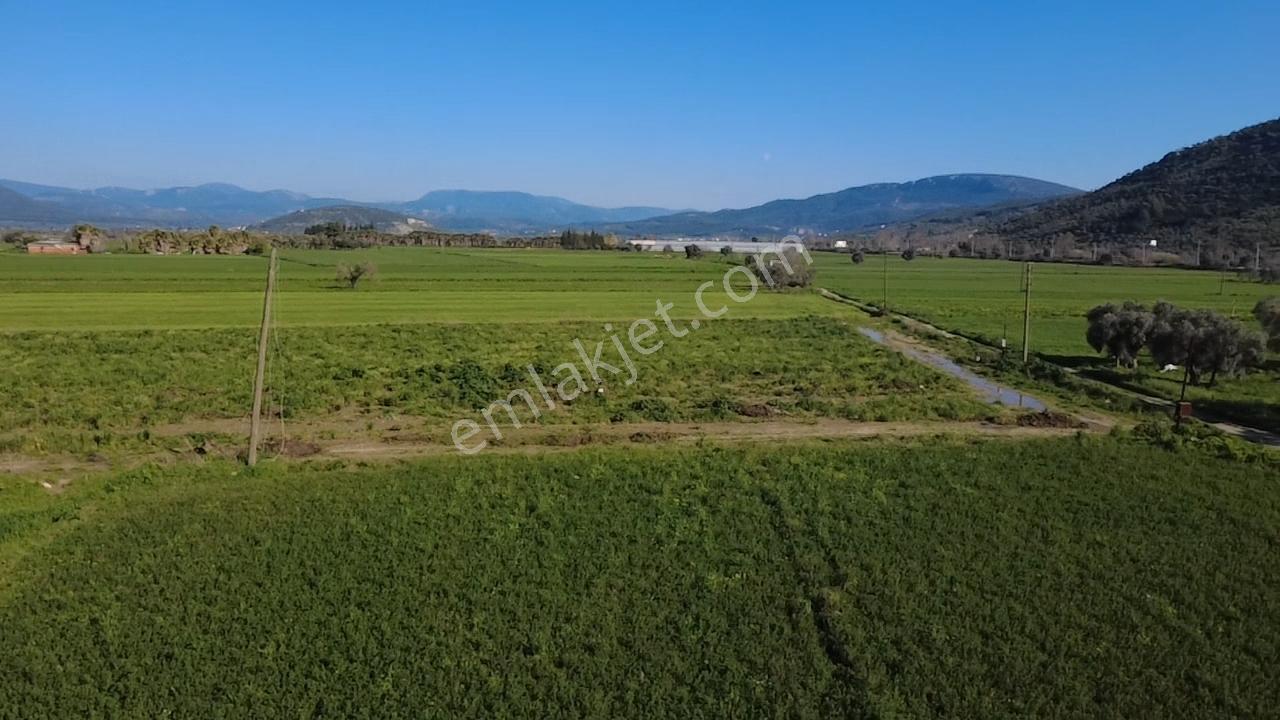 Milas Yakaköy De 14 000 M² Yola Sıfır İmar Sınırında Tarla - Görsel 14