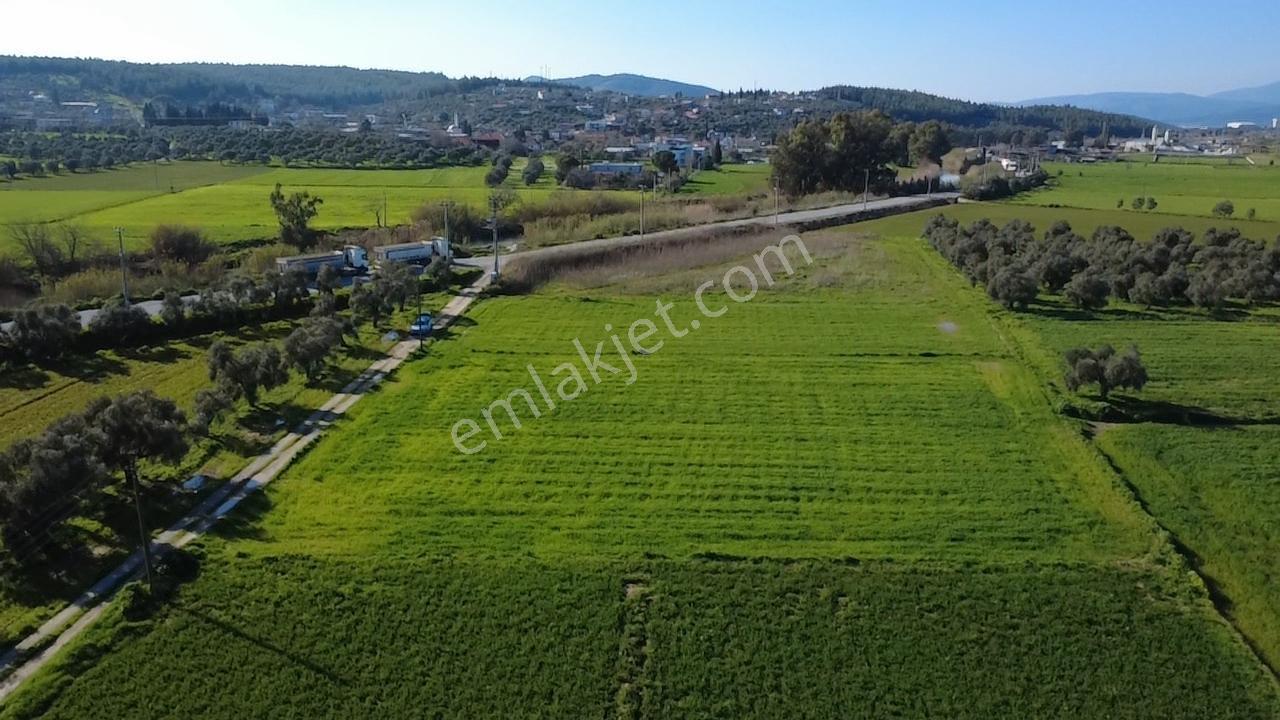 Milas Yakaköy De 14 000 M² Yola Sıfır İmar Sınırında Tarla - Görsel 6
