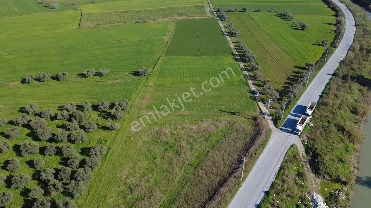 Milas Yakaköy De 14 000 M² Yola Sıfır İmar Sınırında Tarla - Görsel 16