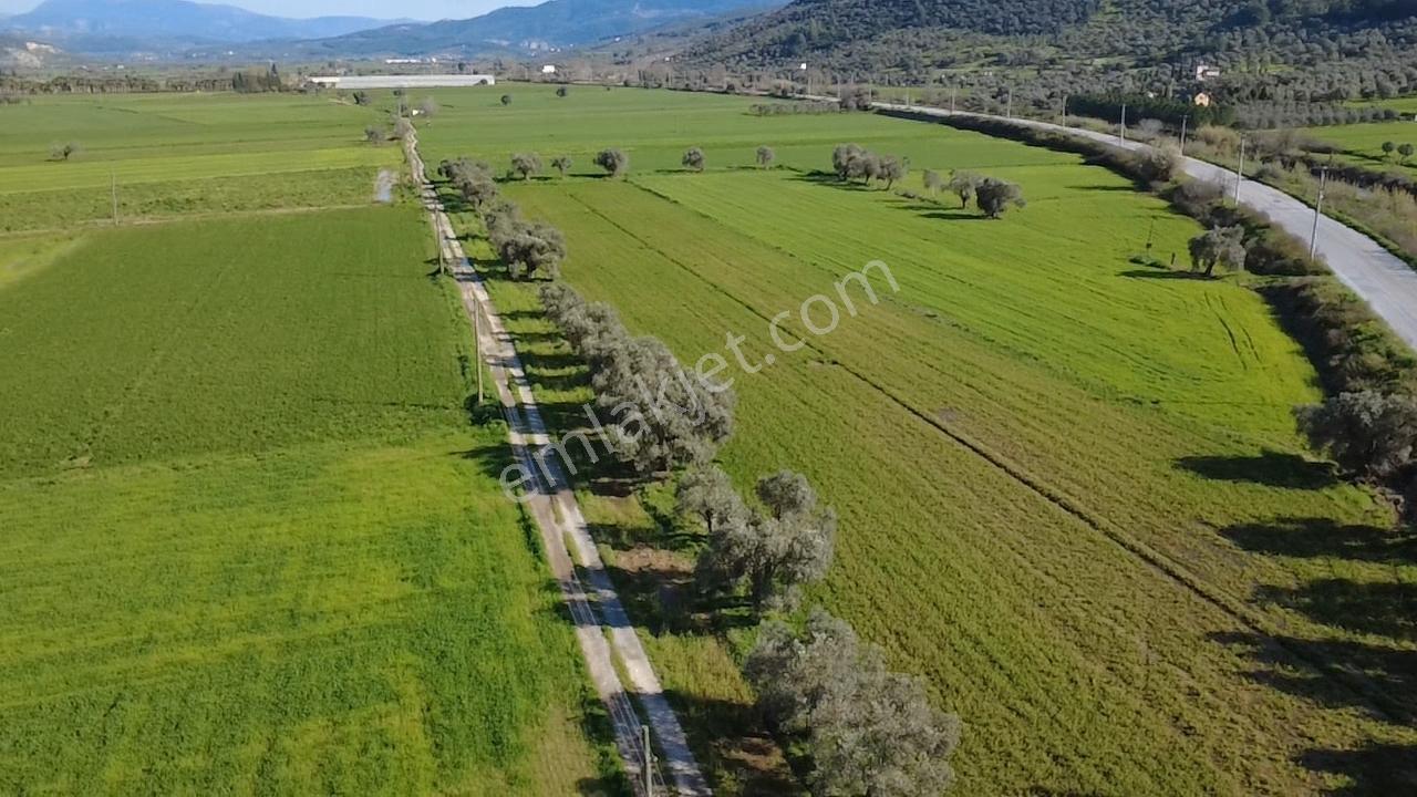 Milas Yakaköy De 14 000 M² Yola Sıfır İmar Sınırında Tarla - Görsel 10