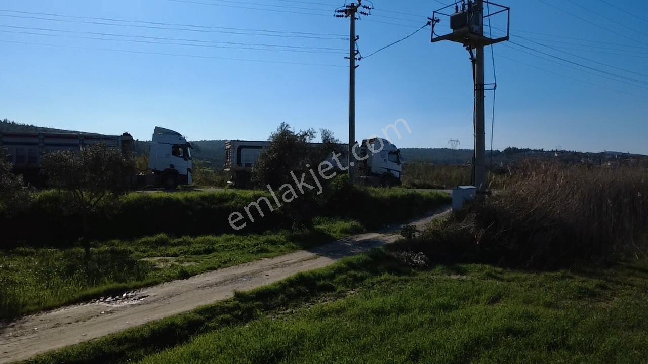 Milas Yakaköy De 14 000 M² Yola Sıfır İmar Sınırında Tarla - Görsel 18