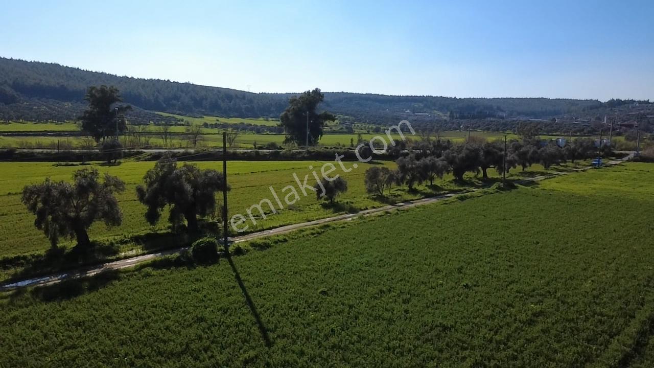 Milas Yakaköy De 14 000 M² Yola Sıfır İmar Sınırında Tarla - Görsel 7