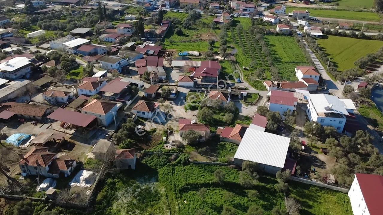 Milas Yakaköy De 14 000 M² Yola Sıfır İmar Sınırında Tarla - Görsel 3