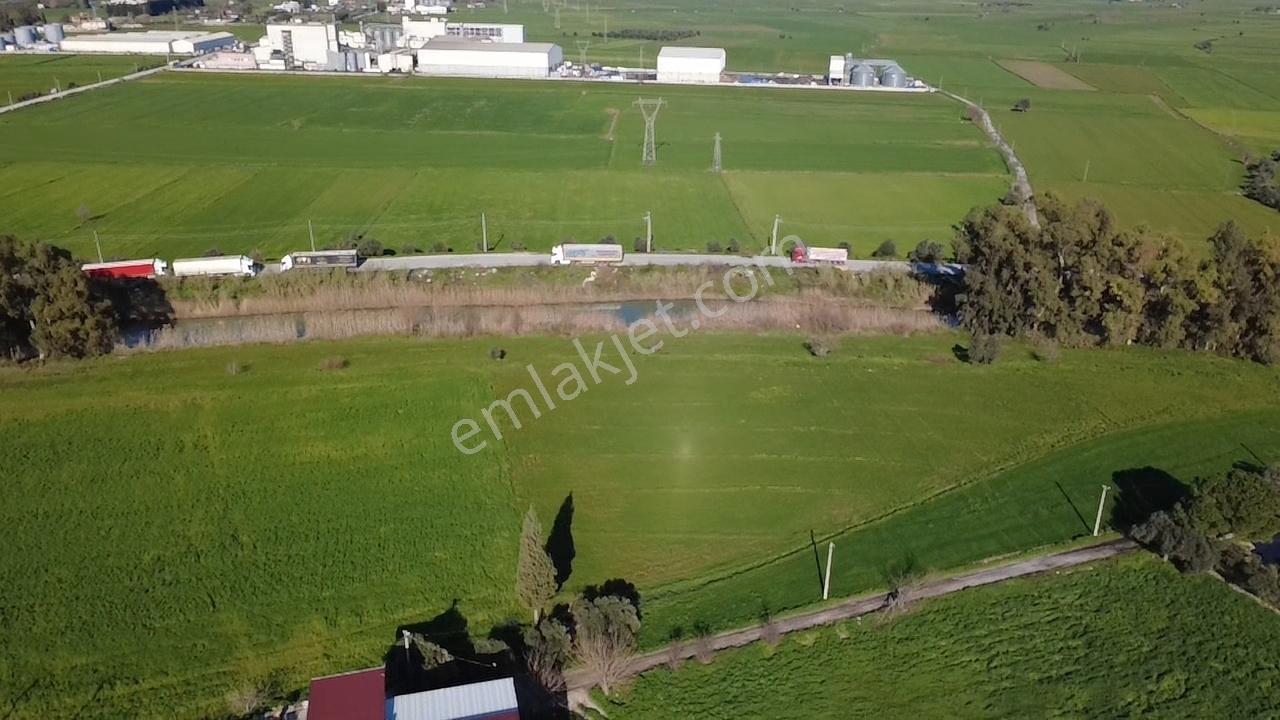 Milas Yakaköy De 14 000 M² Yola Sıfır İmar Sınırında Tarla - Görsel 21