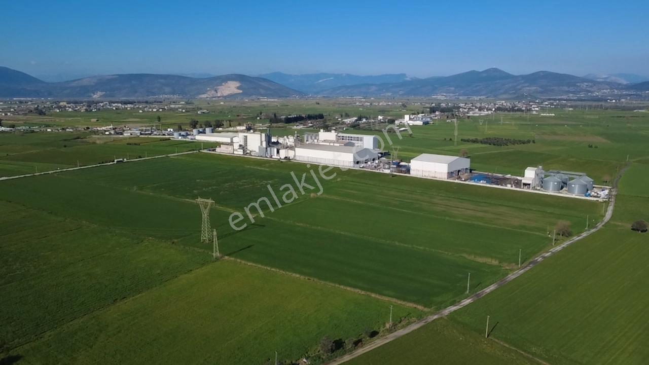 Milas Yakaköy De 14 000 M² Yola Sıfır İmar Sınırında Tarla - Görsel 27