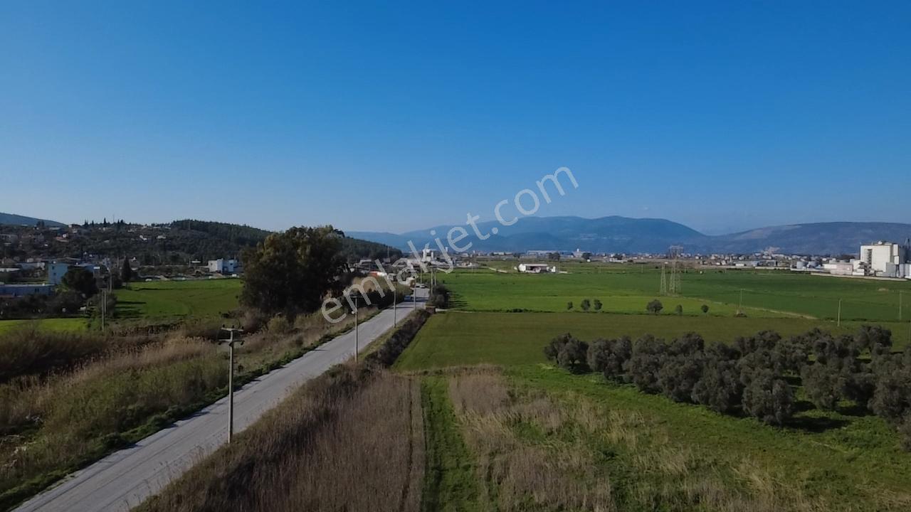 Milas Yakaköy De 14 000 M² Yola Sıfır İmar Sınırında Tarla - Görsel 17