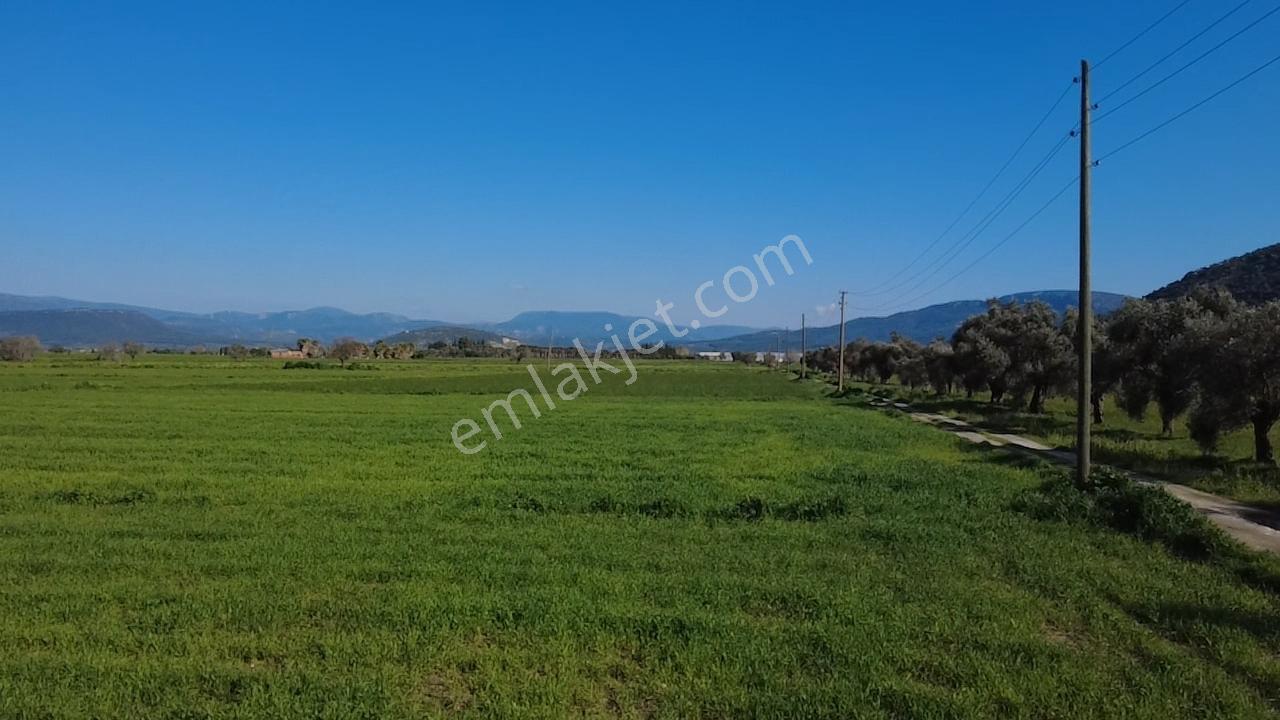 Milas Yakaköy De 14 000 M² Yola Sıfır İmar Sınırında Tarla - Görsel 30
