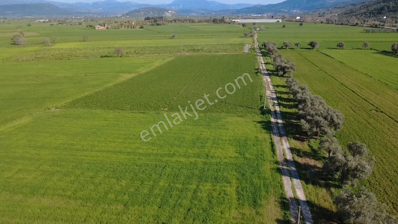 Milas Yakaköy De 14 000 M² Yola Sıfır İmar Sınırında Tarla - Görsel 28