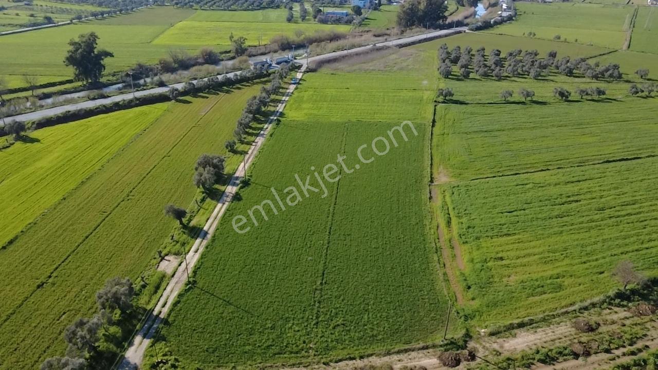 Milas Yakaköy De 14 000 M² Yola Sıfır İmar Sınırında Tarla - Görsel 9