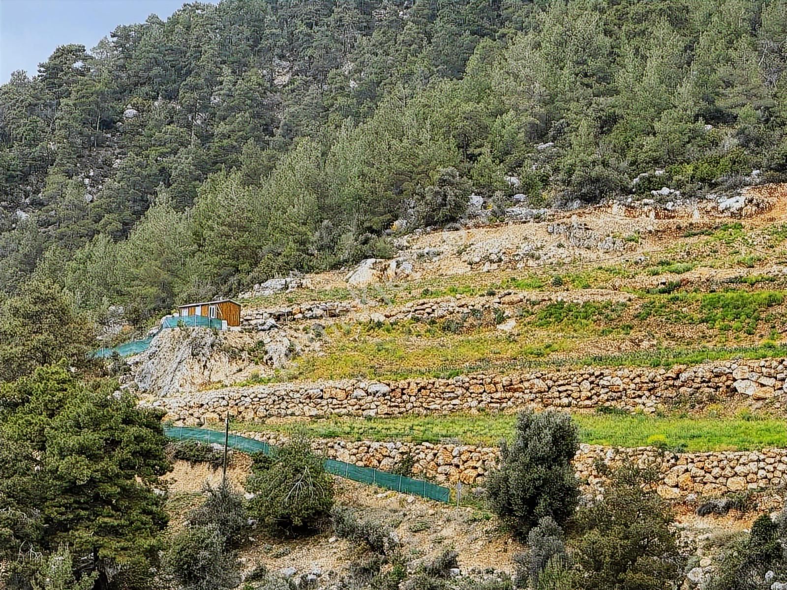 Yola Sıfır 28 Dönüm Elektrik Su Sorunu Yok Fırsat Arsa - Görsel 8