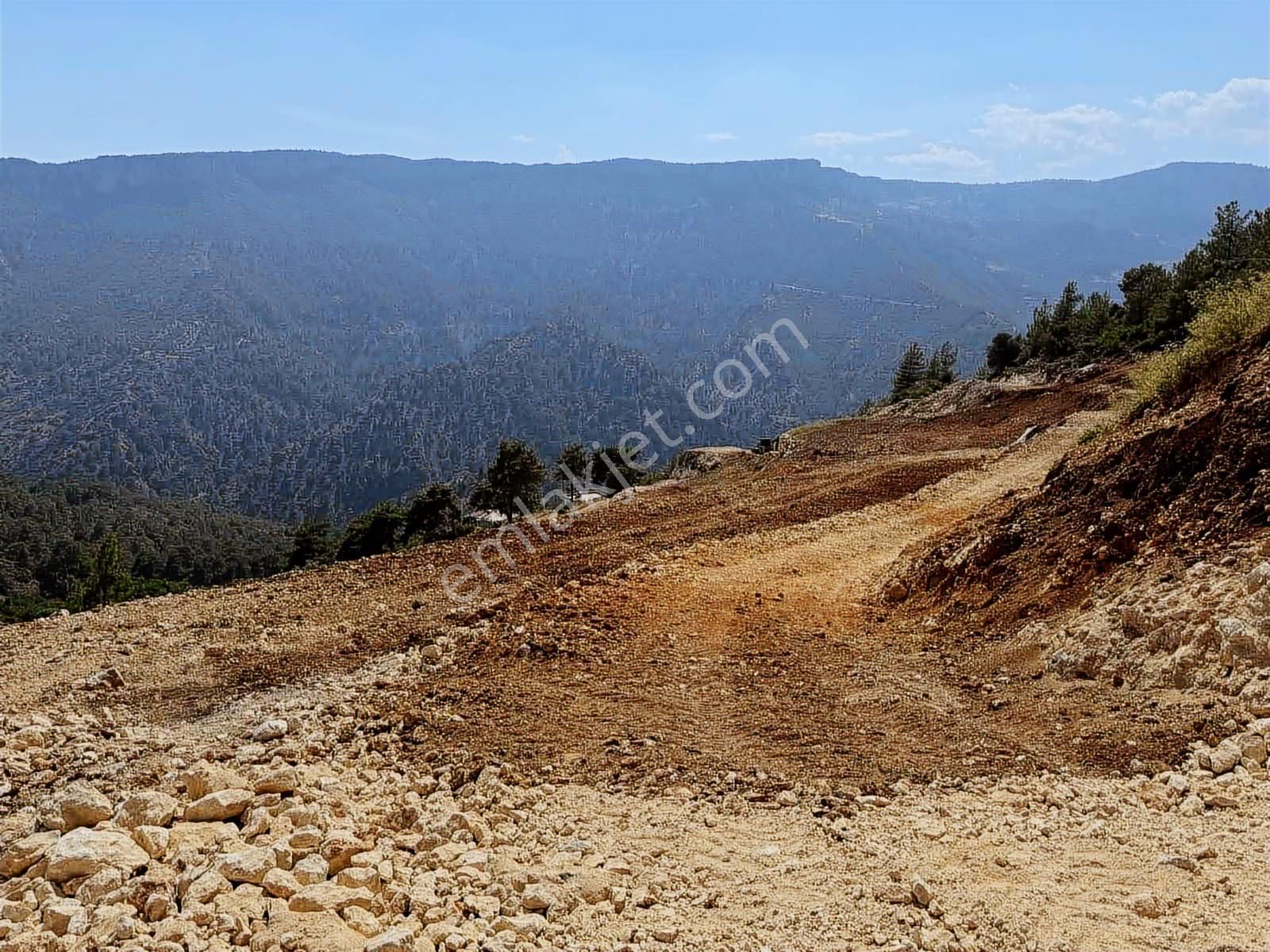 Yola Sıfır 28 Dönüm Elektrik Su Sorunu Yok Fırsat Arsa - Görsel 4